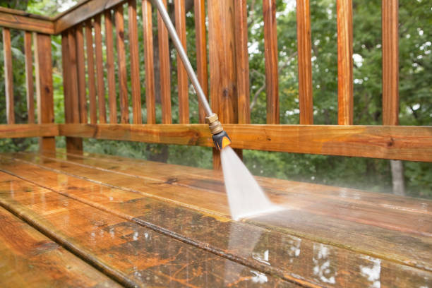 Best Gutter Cleaning and Brightening in Dayton, MN